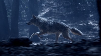 Волчонок - 3 сезон 14 серия: Плохого больше, чем хорошего